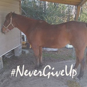 Meet your Posher, Leon